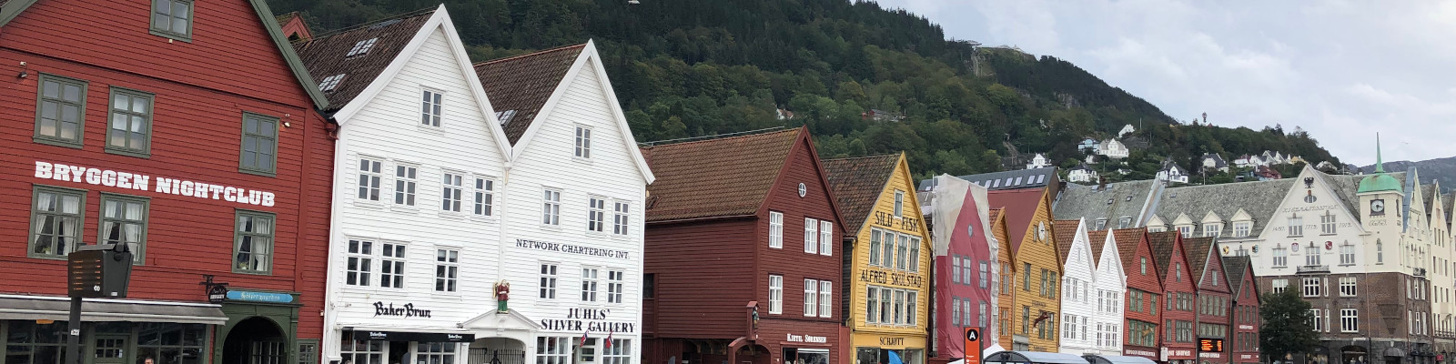 Bergen and the scenic landscape of Norway