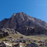 Tete Colombe
